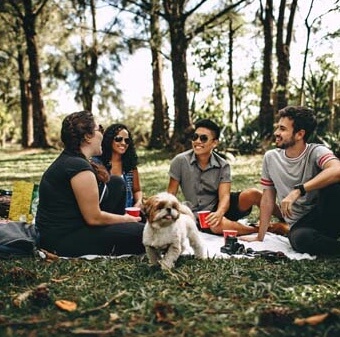 People in the park for a picnic